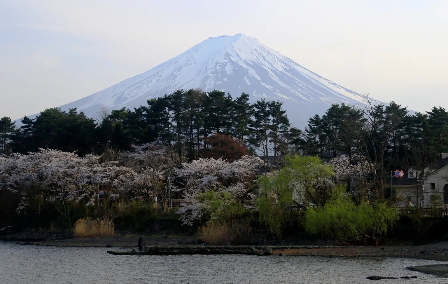 بعد أن اجتاحها السياح.. مدينة يابانية تحجب رؤية جبل فوجي الشهير (صور)