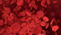 كيف تؤثر فصيلة الدم في صحة الإنسان ؟