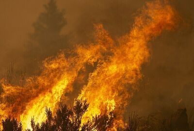 دراسة أولى من نوعها تربط دخان حرائق الغابات بأمراض الجلد