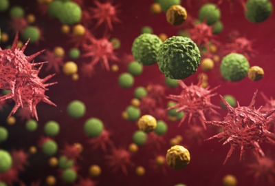 علماء: فيروس كورونا يستخدم مستقبلات الكوليسترول لاختراق الخلايا البشرية