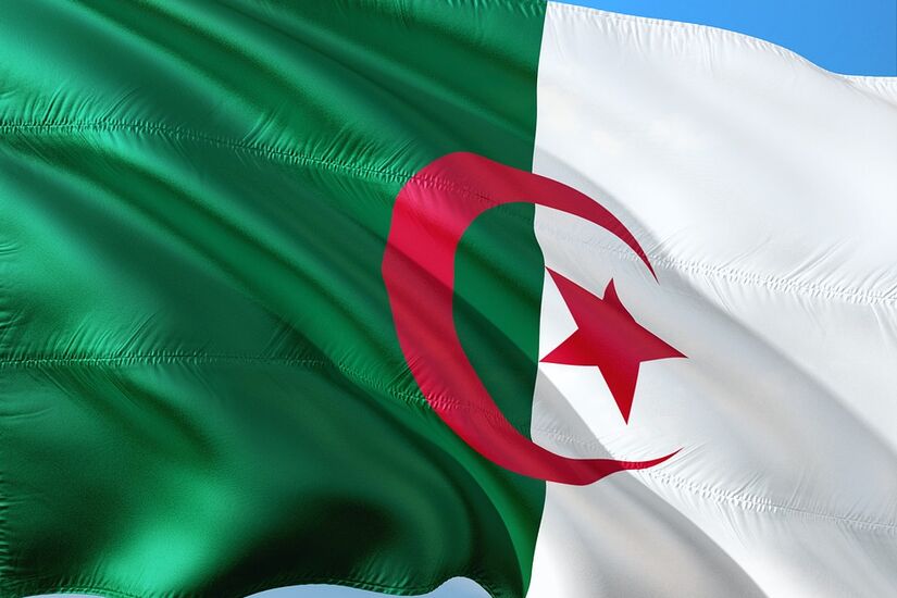 الرئيس الجزائري: أن تكون صديقي لا يعني أن تقول لي من أزور وسأسافر إلى روسيا