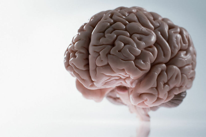 دراسة تجد فوائد للفياغرا على الدماغ.. فما هي؟