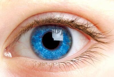 أعراض في عينيك تظهر أن مستويات الكوليسترول في الدم مرتفعة بشكل خطير!