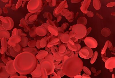 هل يؤثر الكافيين الموجود في الدم على نسبة الدهون في الجسم؟