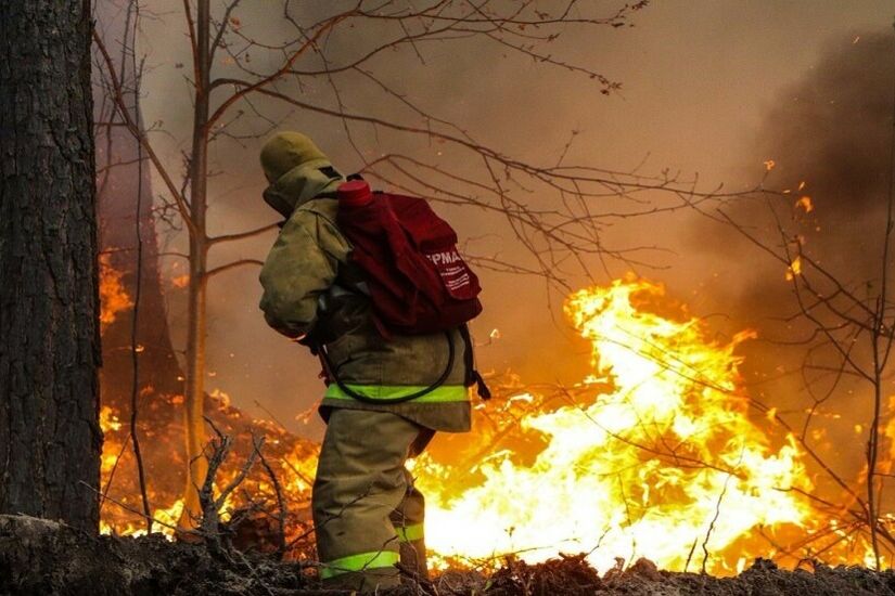 روسيا.. أكثر من 700 رجل إطفاء يكافحون حرائق الغابات في مقاطعة كورغان