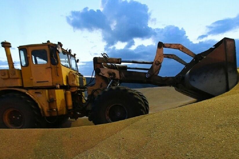 توقع أرقام قياسية لصادرات روسيا من الحبوب خلال العام الزراعي