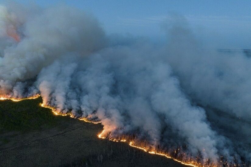 كندا.. حرائق الغابات الضخمة تلتهم أكثر من 10 ملايين هكتار