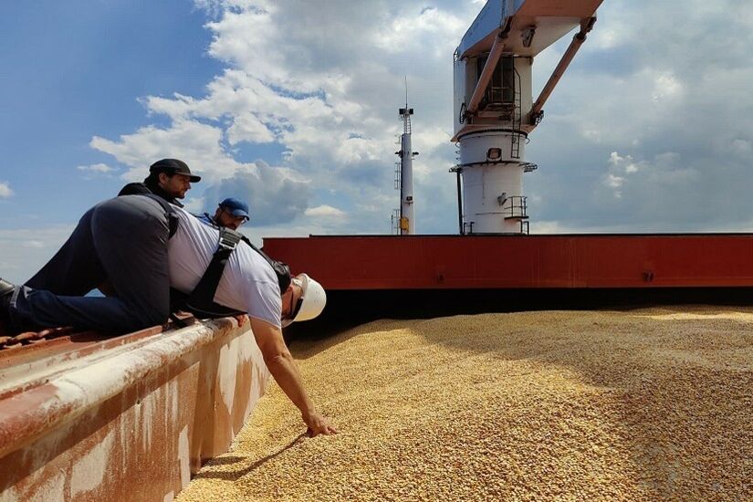 مصر: عدم تمديد صفقة الحبوب لن يؤثر علينا