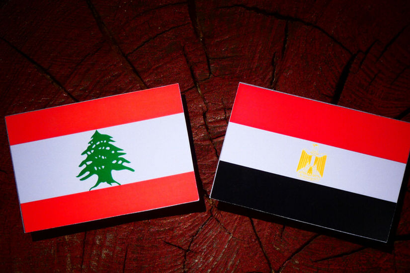 وزير الزراعة اللبناني يثمن الدعم المصري لبلاده