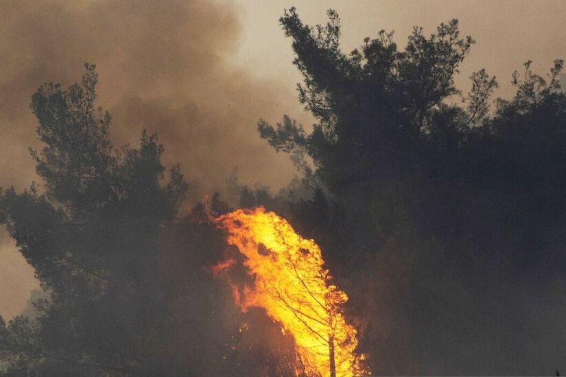 استمرار جهود فرق الإطفاء في اليونان وتركيا للسيطرة على حرائق الغابات