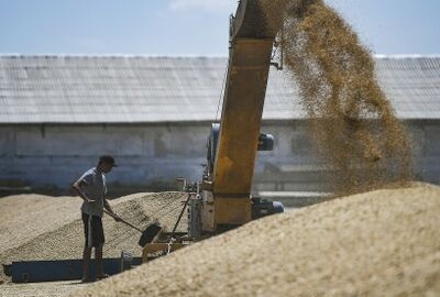 الكرملين: لا نثق بمزاعم واشنطن حول تسهيلها تصدير الحبوب الروسية