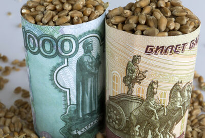 بوتين يصدر مرسوما باعتماد الروبل في بيع الصادرات الزراعية