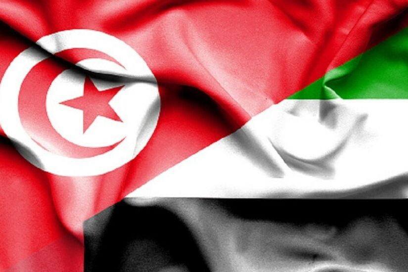 وزير الدولة الإماراتي شخبوط بن نهيان يلتقي قيس سعيّد في تونس