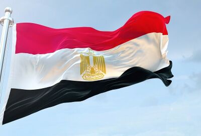وزير مصري سابق: روسيا تدعم رغبة مصر بالانضمام إلى بريكس