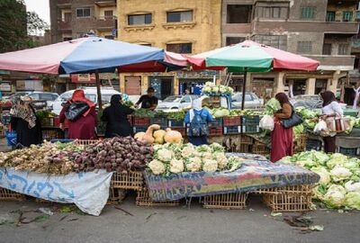 مصر.. قرار بوقف تصدير سلعة لضبط سعرها في السوق المحلية