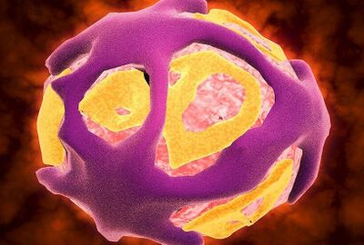 لماذا يتم خلق فيروسات غير موجودة في الطبيعة؟!