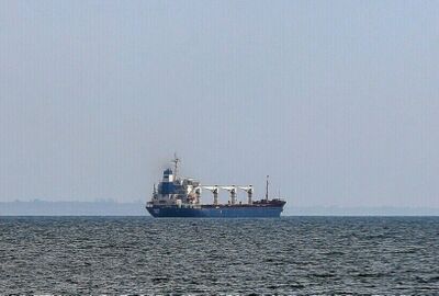 وسائل إعلام: ارتطام سفينة شحن تحمل الحبوب من أوديسا بلغم بحري