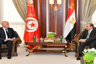 الرئيس التونسي يبحث مع نظيره المصري التطورات في الأراضي الفلسطينية