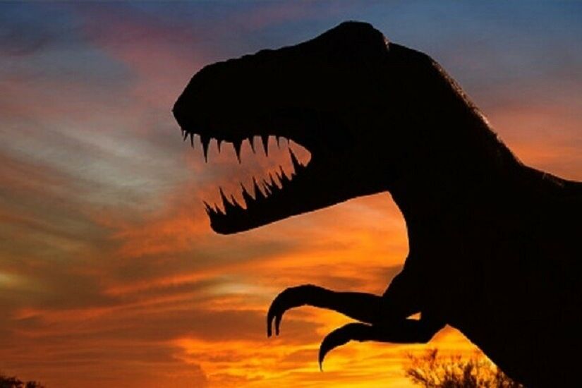 كندا.. اكتشاف مفاجئة غير متوقعة في جوف تيرانوصور