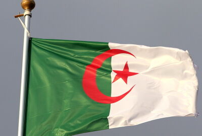 الجزائر.. افتتاح مصنع أوروبي للسيارات