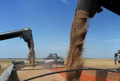 روسيا تجدد رقمها القياسي في تصدير الحبوب المسجل قبل 3 سنوات