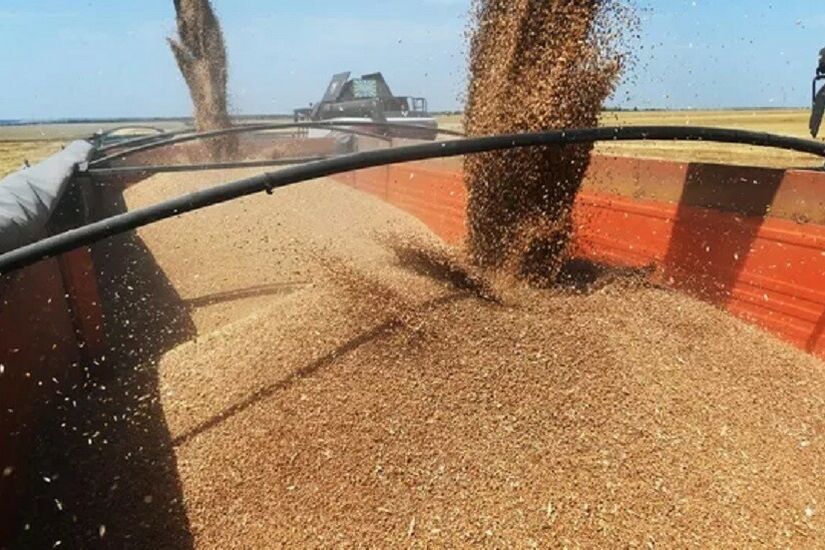 وزارة الزراعة الروسية تعلن الانتهاء من توريد القمح إلى البلدان الأكثر فقرا في إفريقيا
