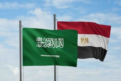 فيديو من مصر عن السعودية يثير تفاعلا كبيرا