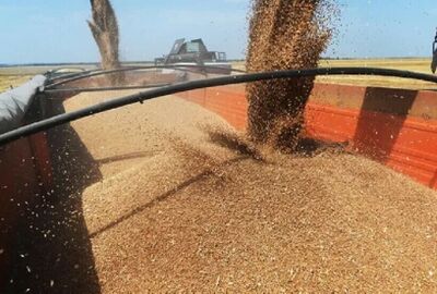مسؤول في منظمة الفاو: مساعدات روسيا من الحبوب ساهمت بمكافحة الجوع في إفريقيا