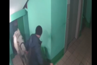 روسي يفاجئ جيرانه باصطحابه حصانا إلى شقته!