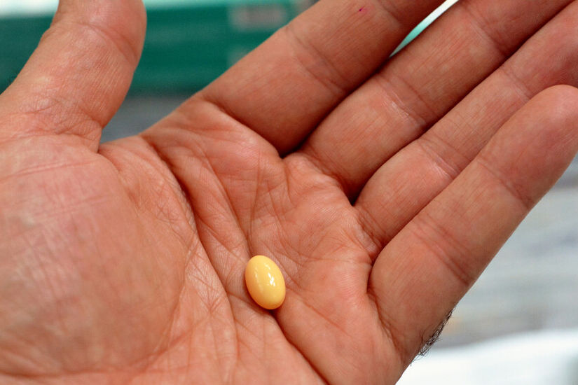استخدم للإجهاض.. هيئة الدواء في مصر تمنع تداول نوع من الأدوية بالصيدليات واقتصاره على المستشفيات