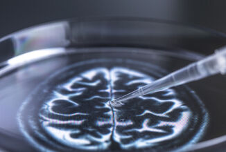 علماء ينمون أنسجة مترابطة بشكل يشبه الدماغ البشري في المختبر