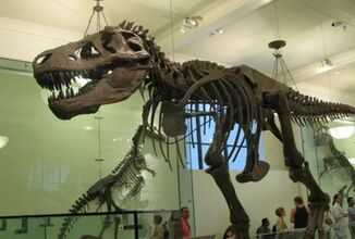 الديناصور الهندي.. هل يسرح في الطبيعة حقا أم في مخيلة البشر؟
