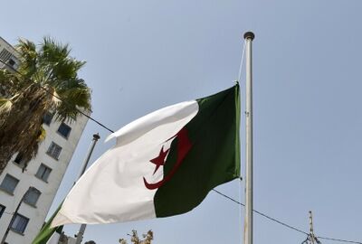 الجزائر.. السماح لأفراد الجالية الوطنية بالدخول إلى البلاد بإظهار بطاقة التعريف