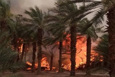 حريق هائل يخلف خسائر كبيرة بمؤسسة اتصالات الجزائر جنوب شرق البلاد