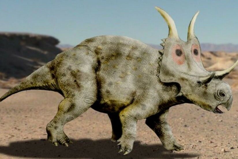 الولايات المتحدة.. اكتشاف نوع جديد من الديناصورات قرنيات الوجه