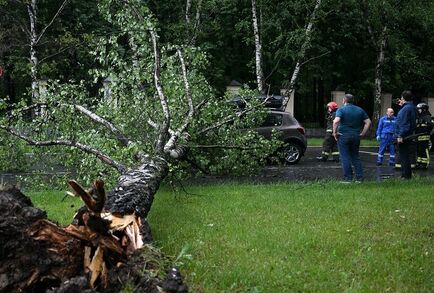 وفيات وإصابات بسبب العواصف التي ضربت موسكو أمس الخميس