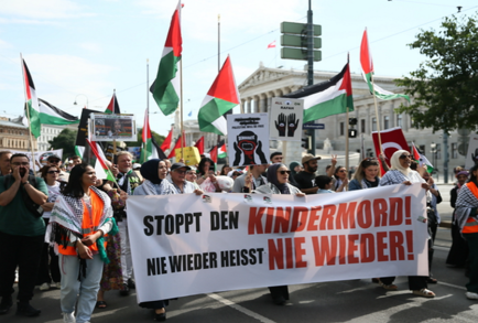 فيينا.. وقفة احتجاجية أمام البرلمان تندد بالهجمات الإسرائيلية على قطاع غزة
