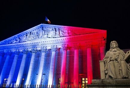التجمع الوطني يعلن استعداده لتشكيل الحكومة في فرنسا