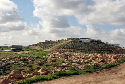 وزيرة الاستيطان الإسرائيلية عن زيادة البناء في المستوطنات: هذه فترة معجزة