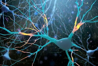 اكتشاف صلة بين استنفاد الأكسجين في الدماغ ومرض ألزهايمر