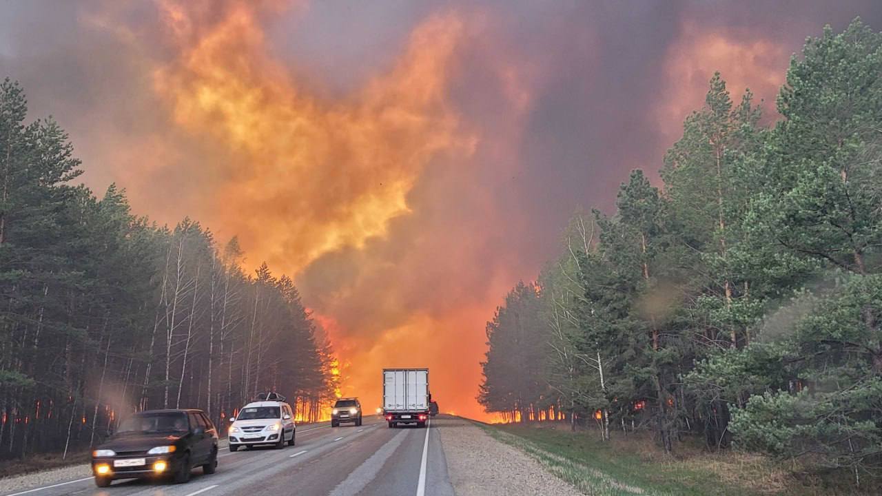روسيا.. أكثر من 700 رجل إطفاء يكافحون حرائق الغابات في مقاطعة كورغان (صور+فيديو)
