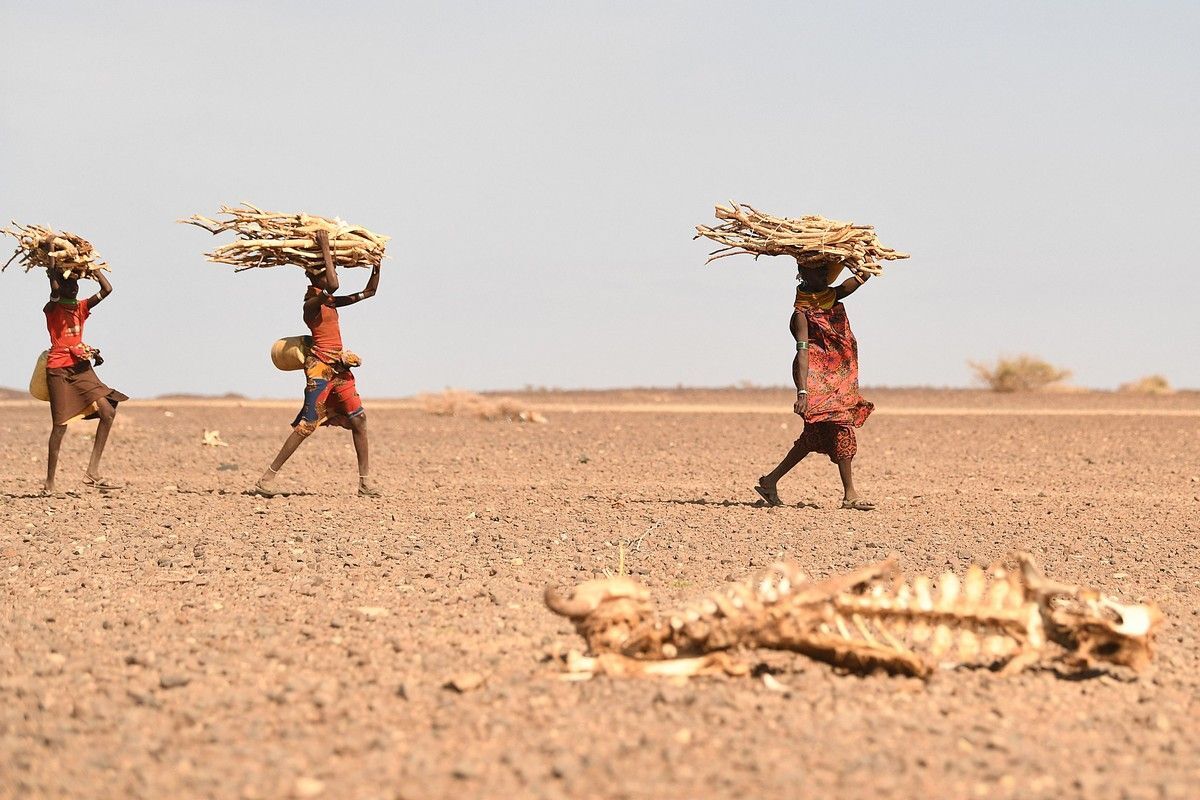 علماء: الجفاف غير المسبوق في القرن الإفريقي ناجم عن انبعاثات غازات الدفيئة